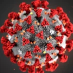 Covid 19 News Updates: New Covid 19 Subvariant JN.1 Triggers Alarm | Coronavirus Alert In India | Time To Mask Up Again.